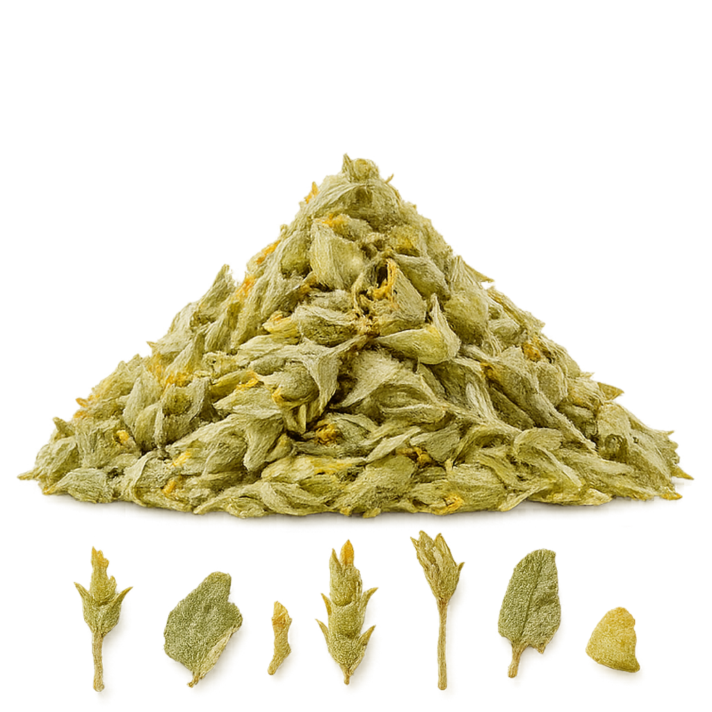 Apollon Griechischer Bergtee BIO