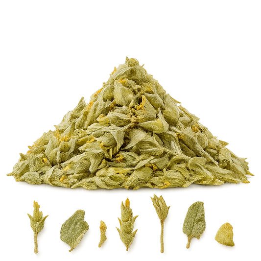 Apollon Griechischer Bergtee BIO