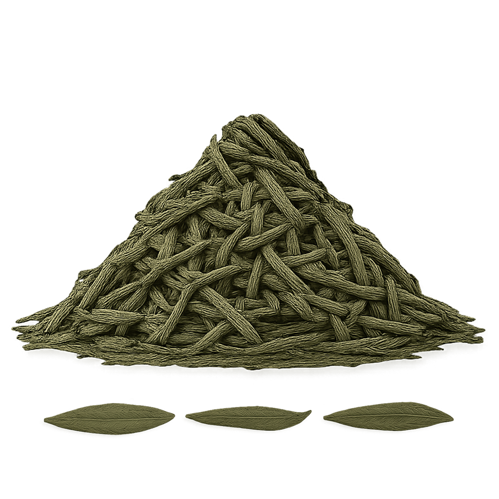 China Sencha Tee BIO